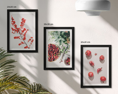 Composizione di 3 quadri Frutti rossi e piante in stile minimalista