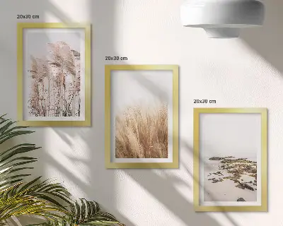 Composizione di 3 quadri con distese di erba della pampa e una spiaggia bohémien
