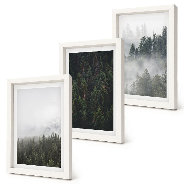 Trittico incorniciato Foreste verdi in un ambiente naturale avvolto dalla nebbia
