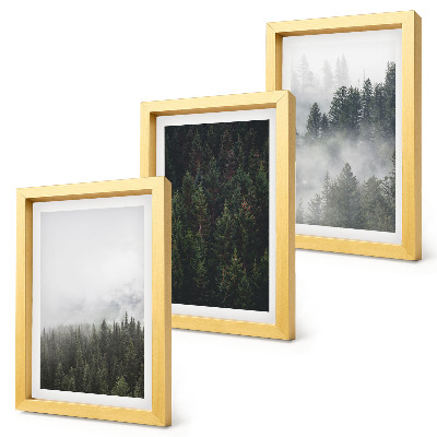 Trittico incorniciato Foreste verdi in un ambiente naturale avvolto dalla nebbia