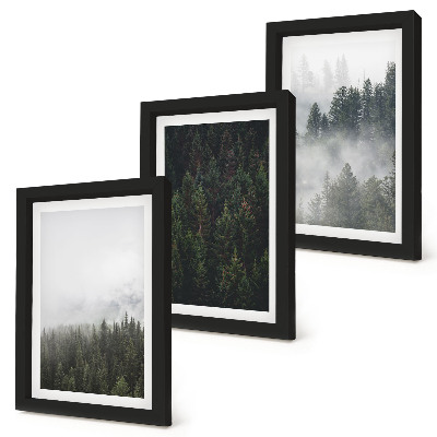 Trittico incorniciato Foreste verdi in un ambiente naturale avvolto dalla nebbia