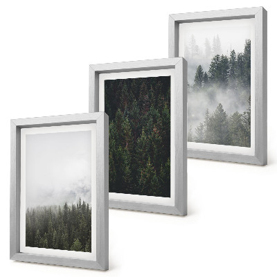 Trittico incorniciato Foreste verdi in un ambiente naturale avvolto dalla nebbia