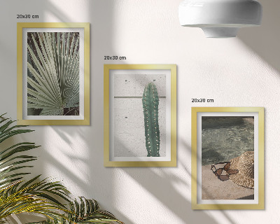 Composizione di 3 quadri Piante tropicali e accessori per vacanze in riva al mare