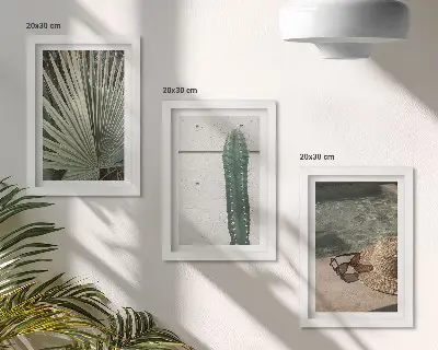 Composizione di 3 quadri con piante tropicali e accessori per vacanze al mare