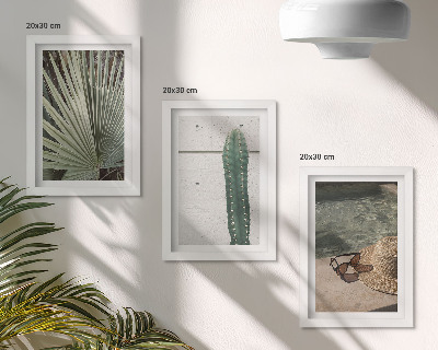 Composizione di 3 quadri Piante tropicali e accessori per vacanze in riva al mare