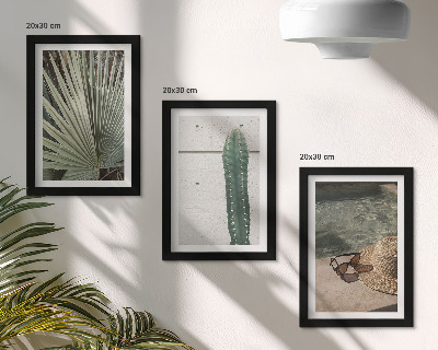 Composizione di 3 quadri Piante tropicali e accessori per vacanze in riva al mare