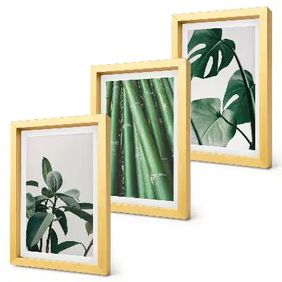 Composizione di 3 quadri con steli di bambù, pianta da interno e foglie di monstera