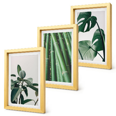 Composizione di 3 quadri Steli di bambù, pianta da interno, e foglie di monstera