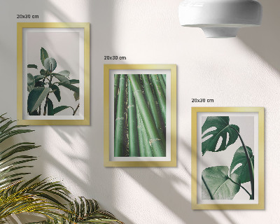 Composizione di 3 quadri Steli di bambù, pianta da interno, e foglie di monstera