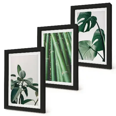 Composizione di 3 quadri con steli di bambù, pianta da interno e foglie di monstera