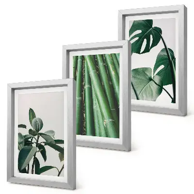 Composizione di 3 quadri con steli di bambù, pianta da interno e foglie di monstera