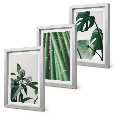 Composizione di 3 quadri Steli di bambù, pianta da interno, e foglie di monstera