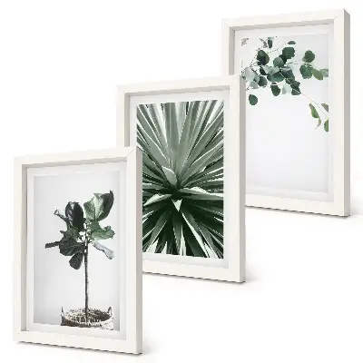 Composizione di 3 quadri con piante verdi in stile minimalista