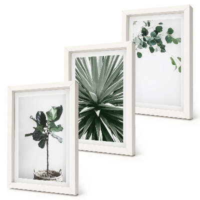 Composizione di 3 quadri Piante verdi in stile minimalista