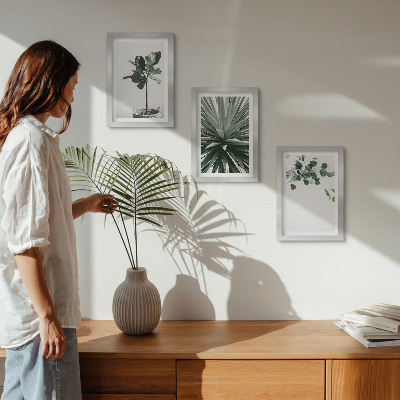 Composizione di 3 quadri Piante verdi in stile minimalista