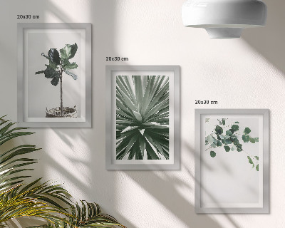 Composizione di 3 quadri Piante verdi in stile minimalista