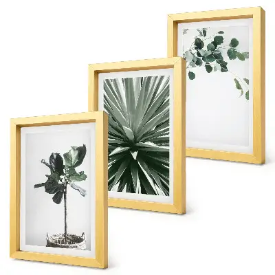 Composizione di 3 quadri con piante verdi in stile minimalista