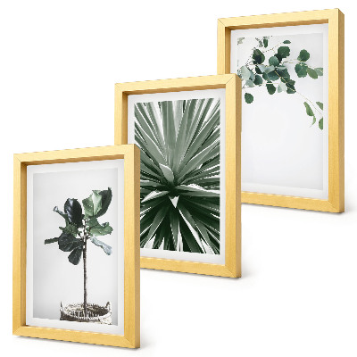 Composizione di 3 quadri Piante verdi in stile minimalista