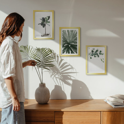 Composizione di 3 quadri Piante verdi in stile minimalista