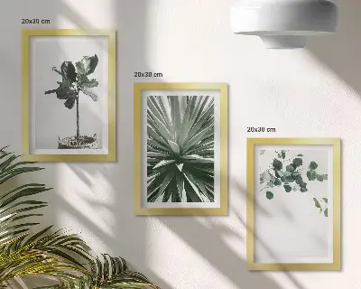 Composizione di 3 quadri con piante verdi in stile minimalista