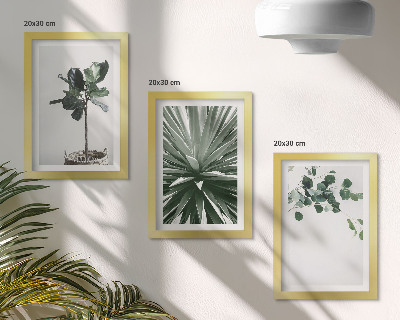 Composizione di 3 quadri Piante verdi in stile minimalista