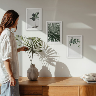 Composizione di 3 quadri Piante verdi in stile minimalista