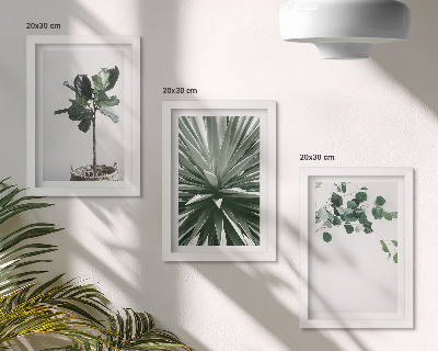 Composizione di 3 quadri Piante verdi in stile minimalista