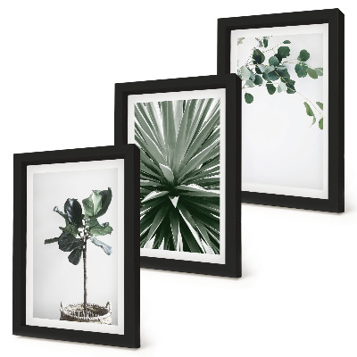 Composizione di 3 quadri Piante verdi in stile minimalista