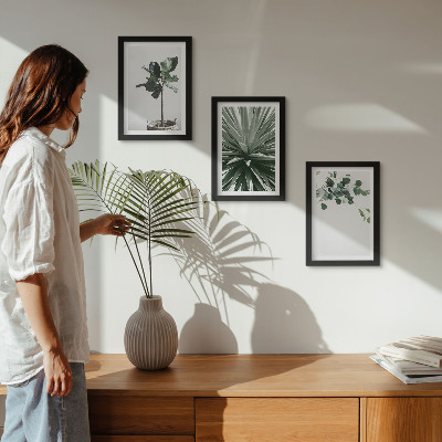 Composizione di 3 quadri Piante verdi in stile minimalista