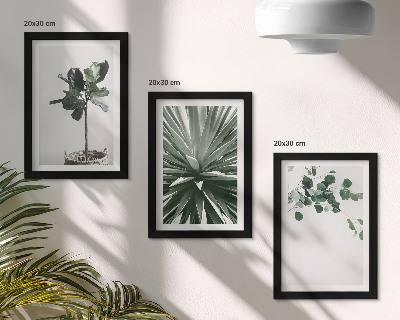 Composizione di 3 quadri Piante verdi in stile minimalista