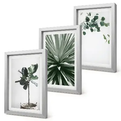 Composizione di 3 quadri con piante verdi in stile minimalista