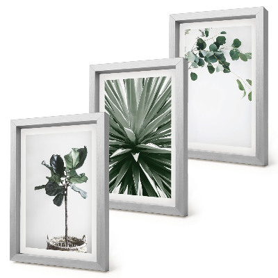 Composizione di 3 quadri Piante verdi in stile minimalista