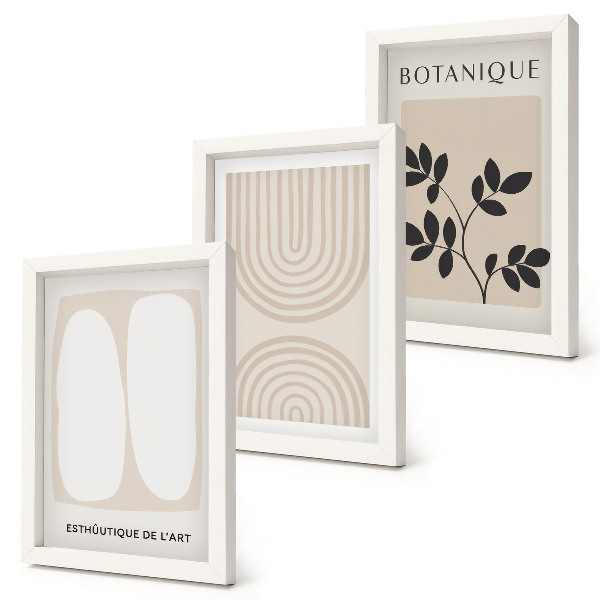 Composizione di 3 quadri Poster boho delicati con motivi vegetali astratti