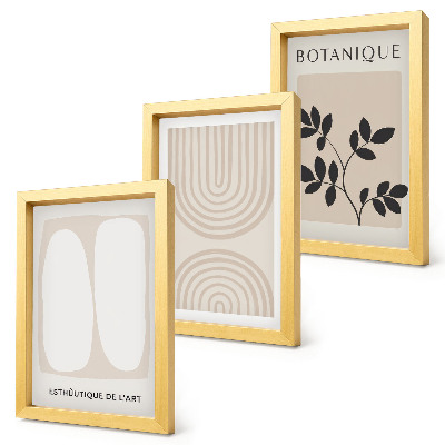 Composizione di 3 quadri Poster boho delicati con motivi vegetali astratti