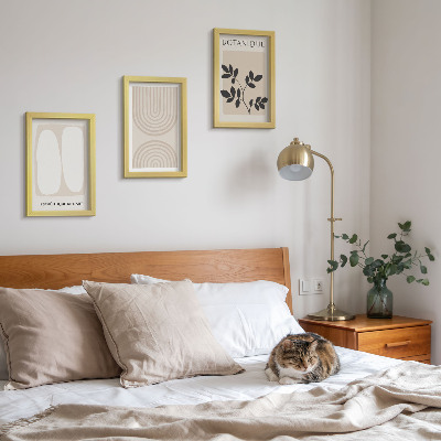 Composizione di 3 quadri Poster boho delicati con motivi vegetali astratti
