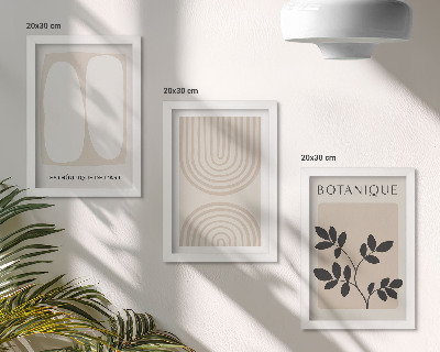 Composizione di 3 quadri Poster boho delicati con motivi vegetali astratti