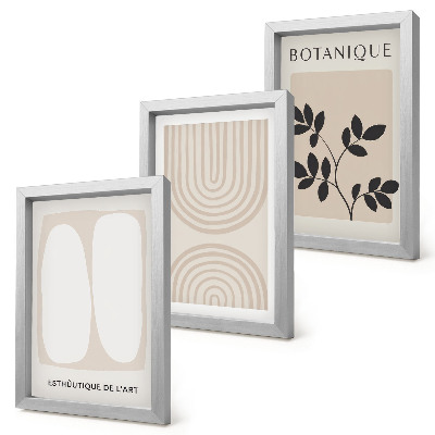Composizione di 3 quadri Poster boho delicati con motivi vegetali astratti