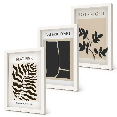 Composizione di 3 quadri Poster minimalisti con motivi vegetali e astratti.
