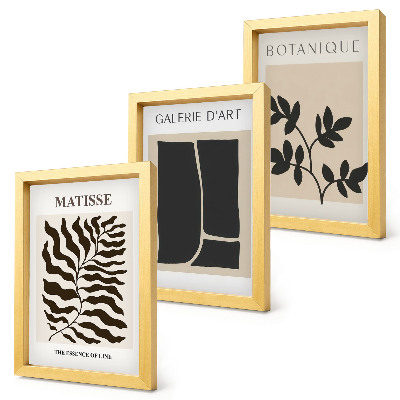 Composizione di 3 quadri Poster minimalisti con motivi vegetali e astratti.