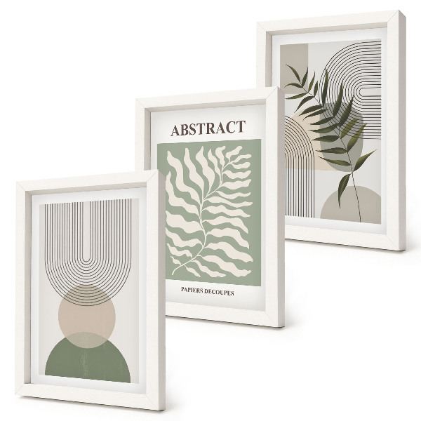 Composizione di 3 quadri Astratti botanici in stile rustico boho
