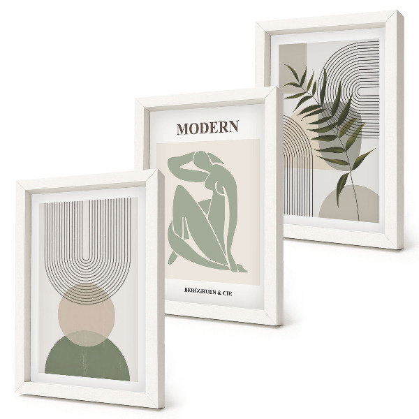 Composizione di 3 quadri Grafica elegante con forme astratte e piante