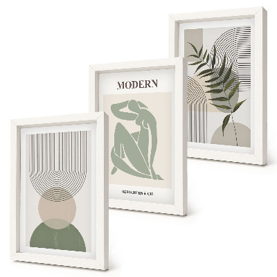 Composizione di 3 quadri Grafica elegante con forme astratte e piante