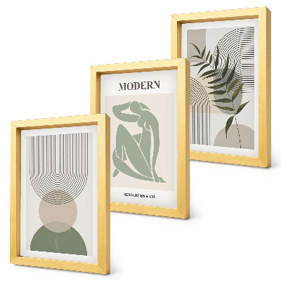 Composizione di 3 quadri Grafica elegante con forme astratte e piante