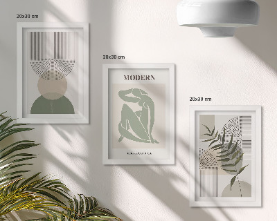 Composizione di 3 quadri Grafica elegante con forme astratte e piante