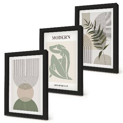 Composizione di 3 quadri Grafica elegante con forme astratte e piante