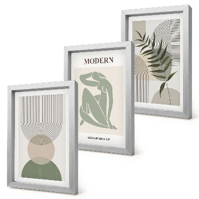 Composizione di 3 quadri Grafica elegante con forme astratte e piante