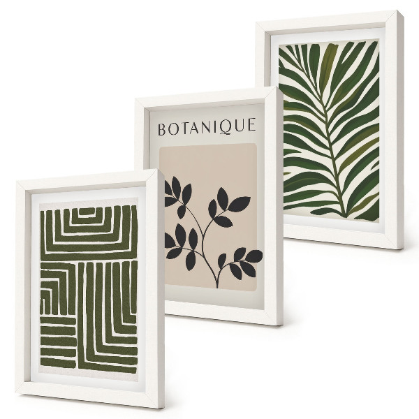 Composizione di 3 quadri Composizioni botaniche in stile minimalismo bohémien