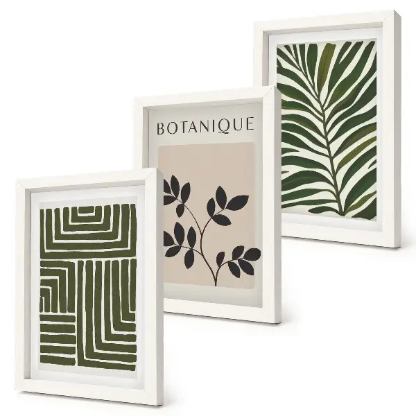 Composizione di 3 quadri con composizioni botaniche in stile minimalismo bohémien