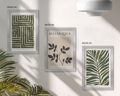 Composizione di 3 quadri Composizioni botaniche in stile minimalismo bohémien