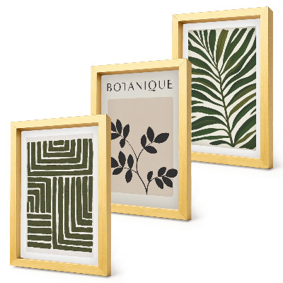 Composizione di 3 quadri Composizioni botaniche in stile minimalismo bohémien